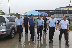Chen Cang District Party Secretary Huo Tieqiao visited Zhouyuan textile factory to investigate and guide the work